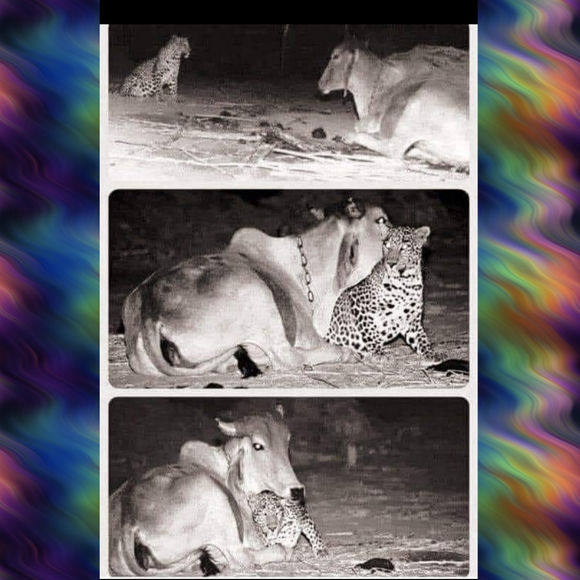 🍻🥂 now accepting offers on bundles - Picture 7 of 17